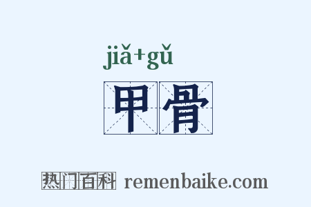 甲骨是什么意思的图片